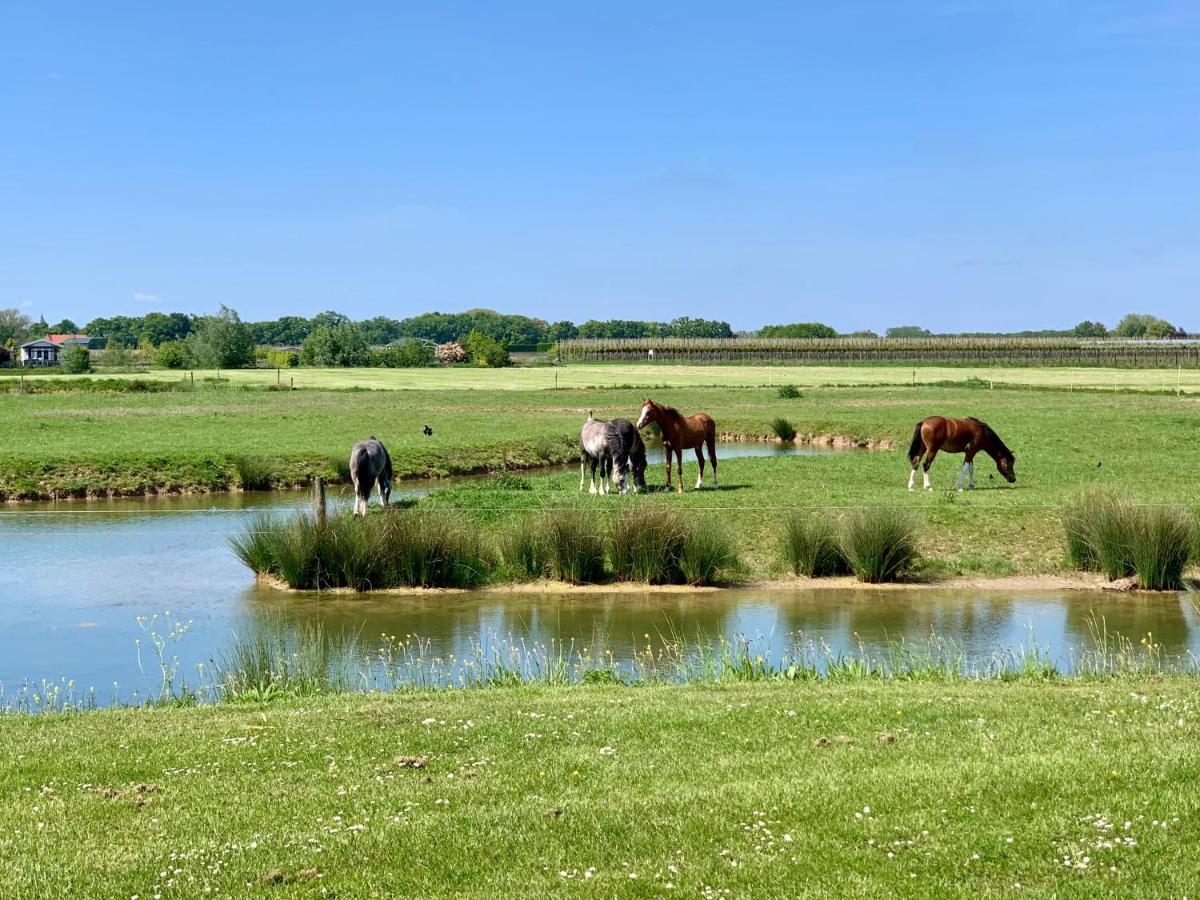 Safaritent Mini Campsite Kesteren
